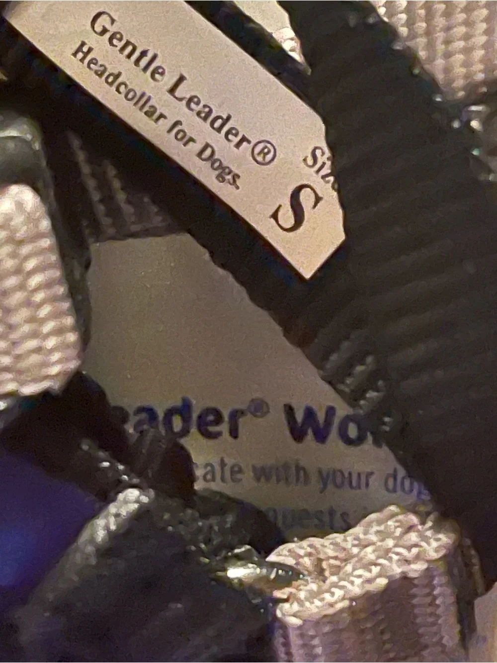 Gentle Leader headcollar blue